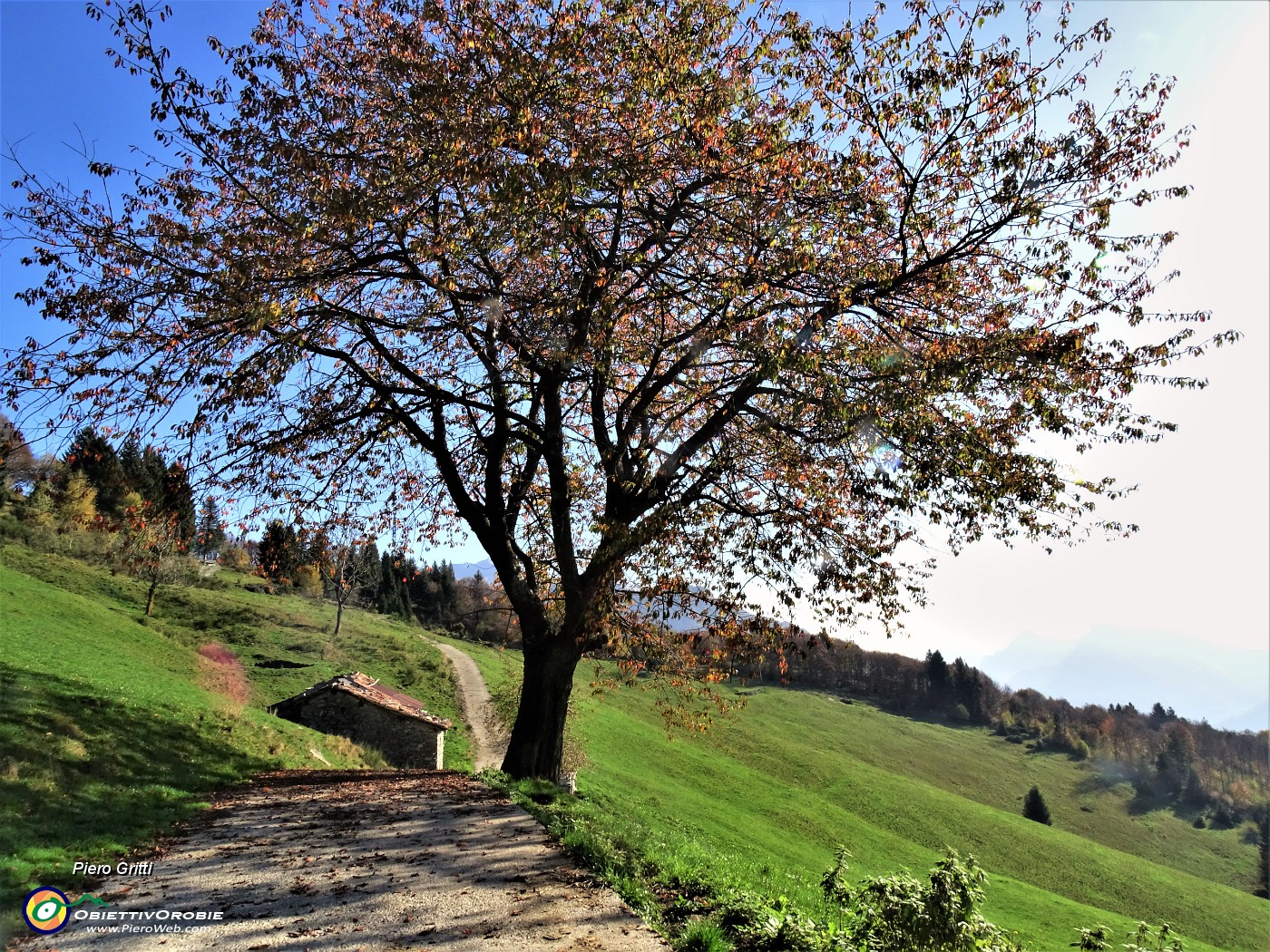 21 Altra cascina con pianta colorata d'autunno .JPG